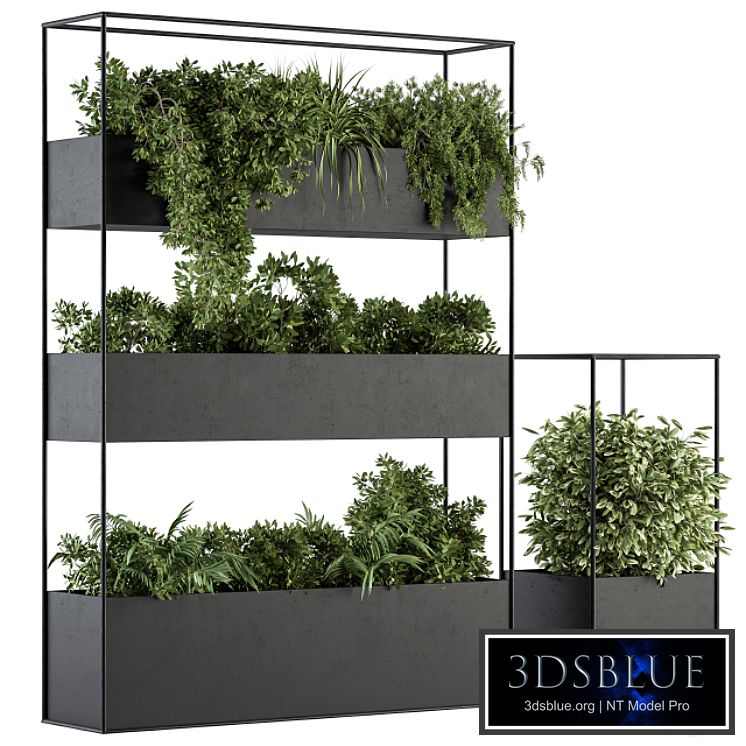 Indoor Plant Set 302 - Plant Box Stand