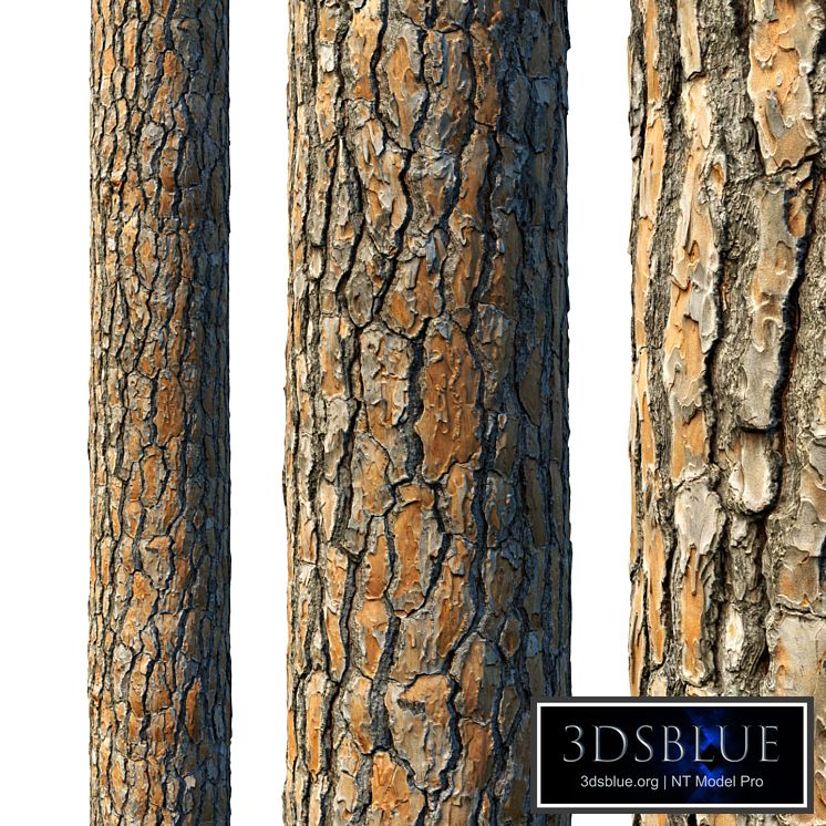 4k Pine Bark Material 03