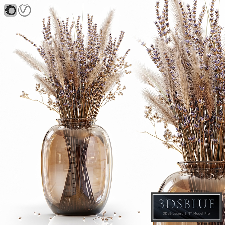 Dry flowers in modern vase 4