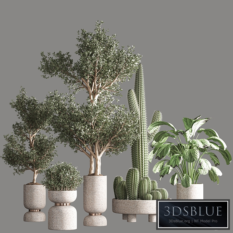 indoor plant set 26