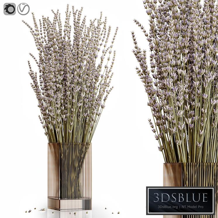 Dry flowers 5 lavender