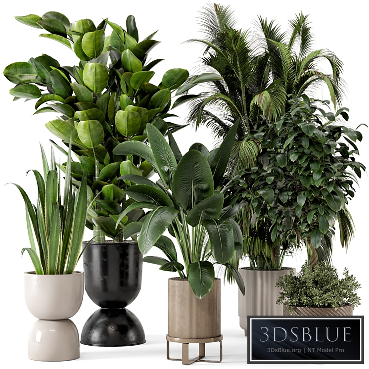 Indoor Plants in Ferm Living Bau Pot Large - Set 290
