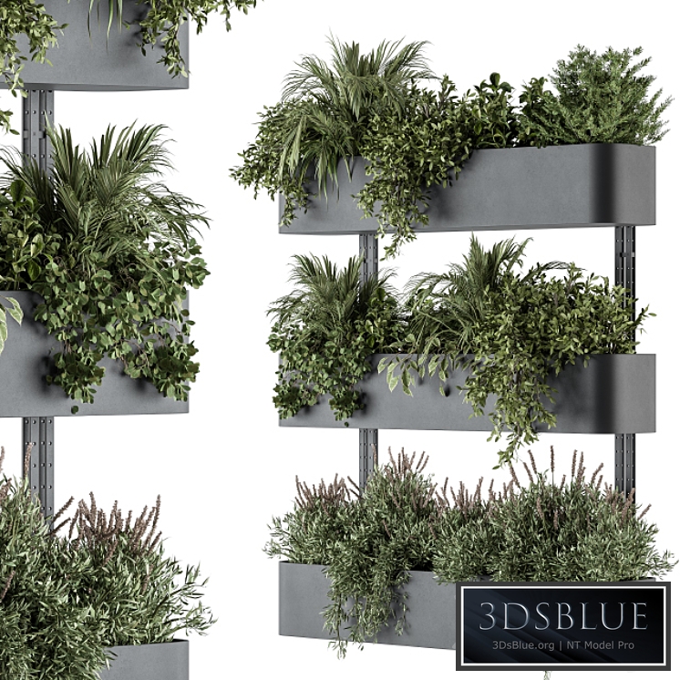 Indoor Plant Set 306 - Box Stand with Hanging Plants