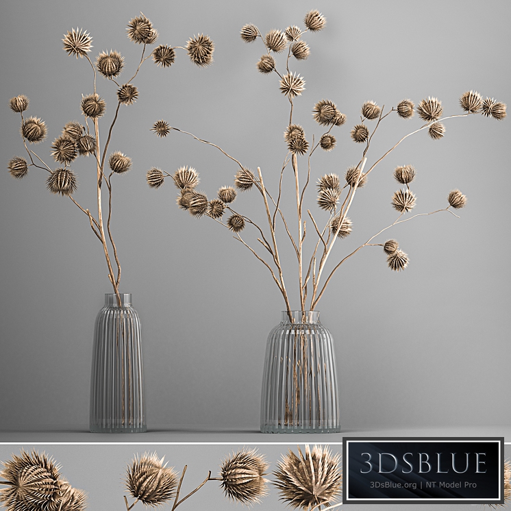 Bouquet 182. dried flowers, branches, thorns, dry decor, vase, glass, eco design, interior, natural decor