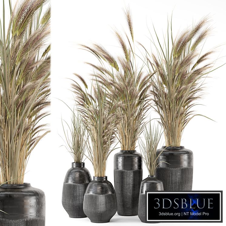 Dry plants 25 - Dried Plantset in handmade vase