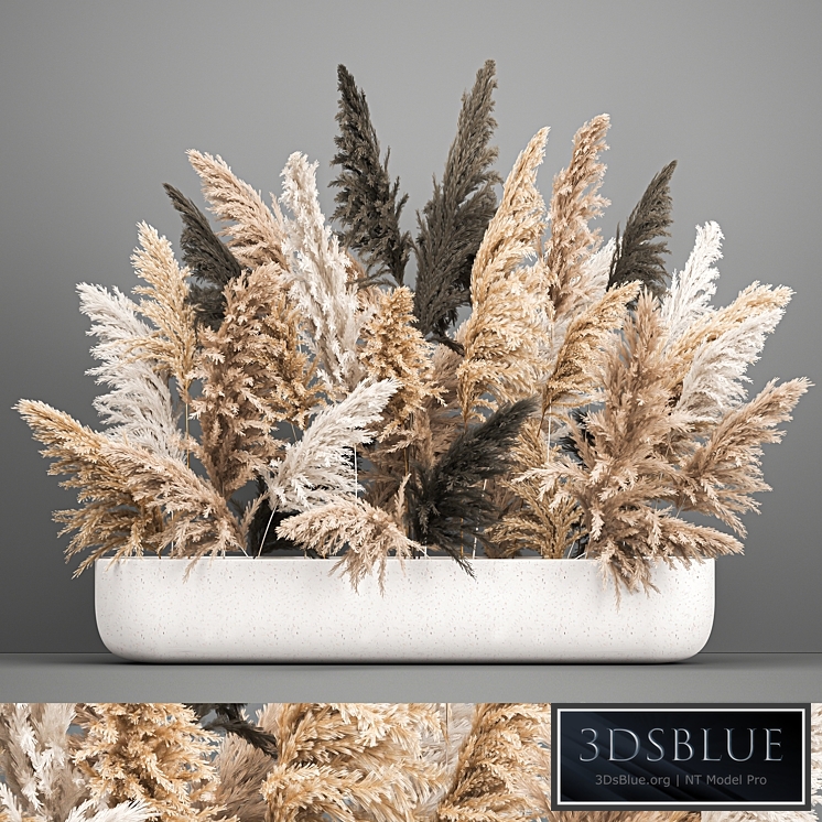 Bouquet 186. pampas grass, reeds, dried flowers, vase, cortaderia, branches, decor, luxury, natural decor, vase, table decoration, eco design, wedding decor
