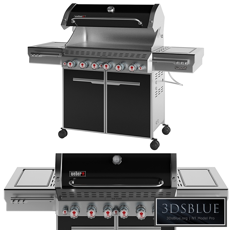 Outdoor Gas Grill