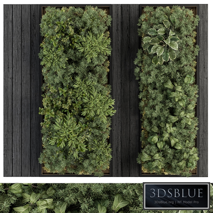 Vertical Garden Black Frame - Wall Decor 38