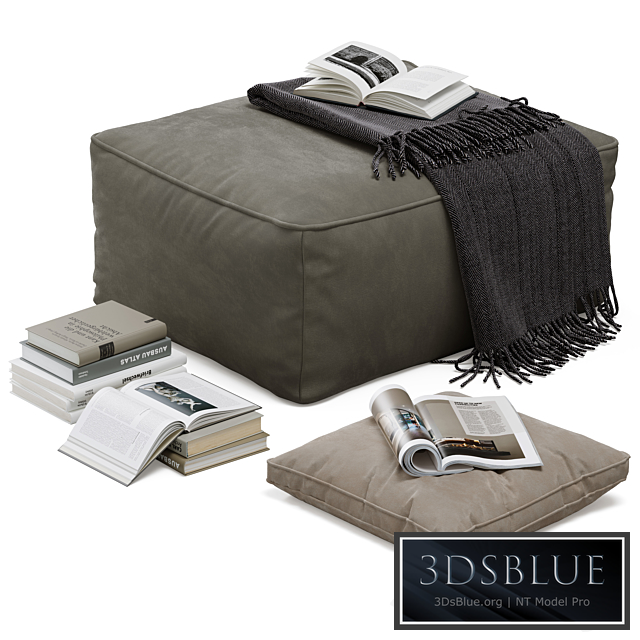Floor decor set 001 with pouf and books