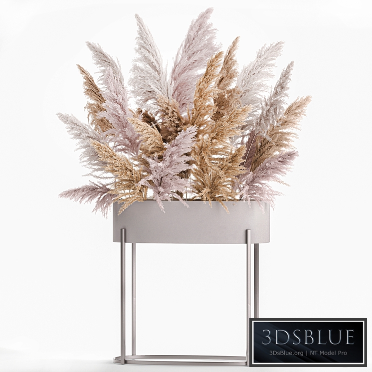 Bouquet 190. Pampas grass, vase, dried flowers, reeds, Cortaderia, branches, dry decor