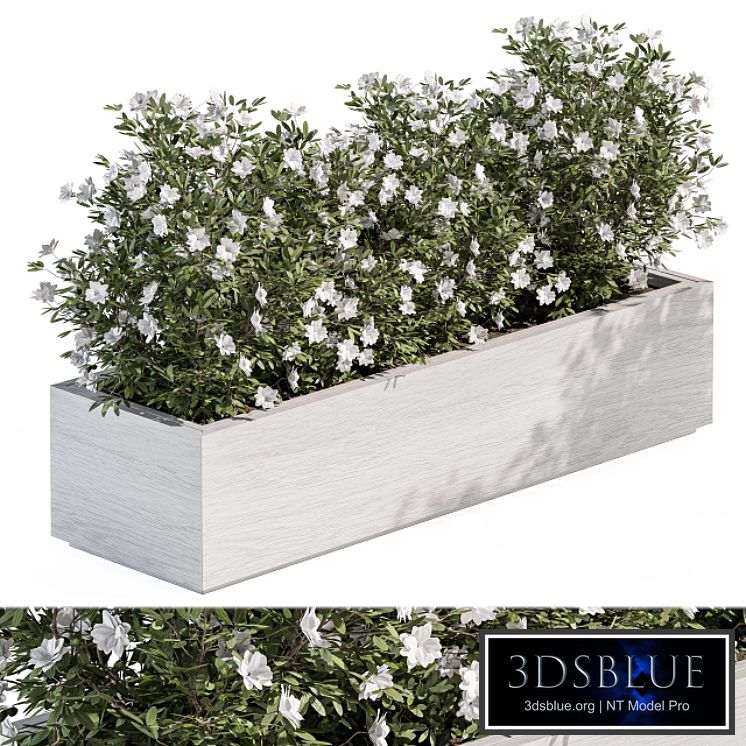 Outdoor Plant Set 304 - Plant Box