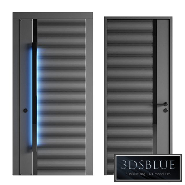 Entrance and interior door