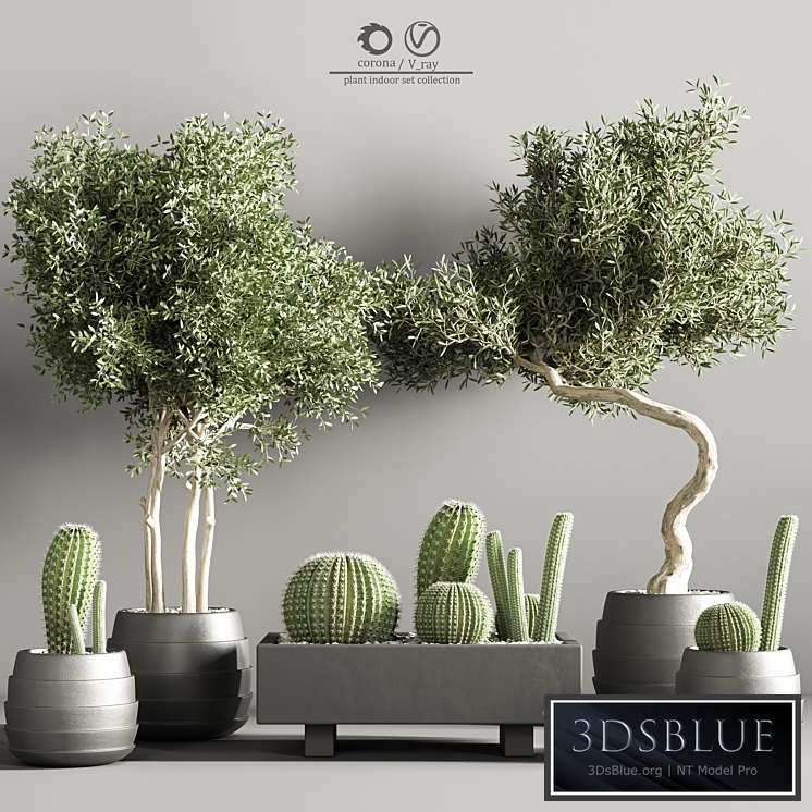 indoor plant stand 37