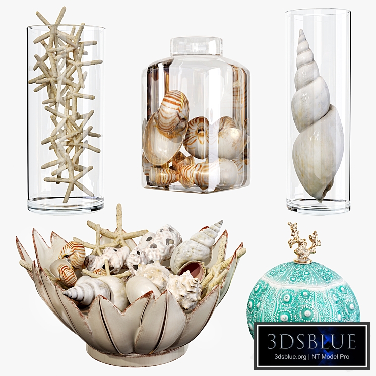 Sea shell decorative set 01