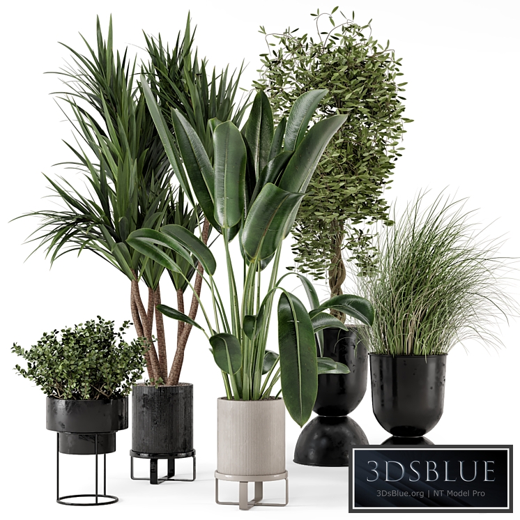Indoor Plants in Ferm Living Bau Pot Large - Set 312