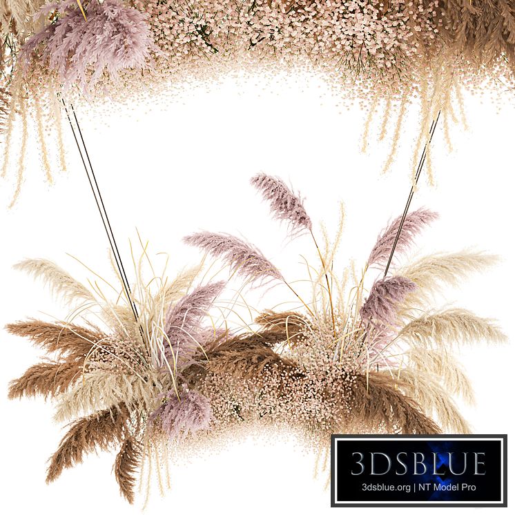 Suspended installation of dried flowers from pampas, Pampas grass, suspension, branches, wedding decoration. Bouquet 200.