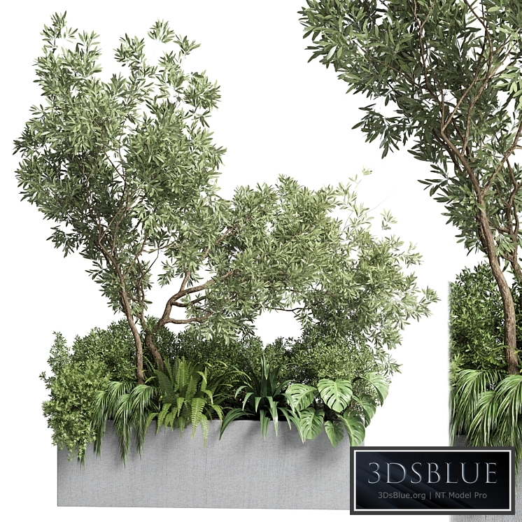 Collection outdoor plant 68 pot plant bush grass and tree and palm concrete vase bax