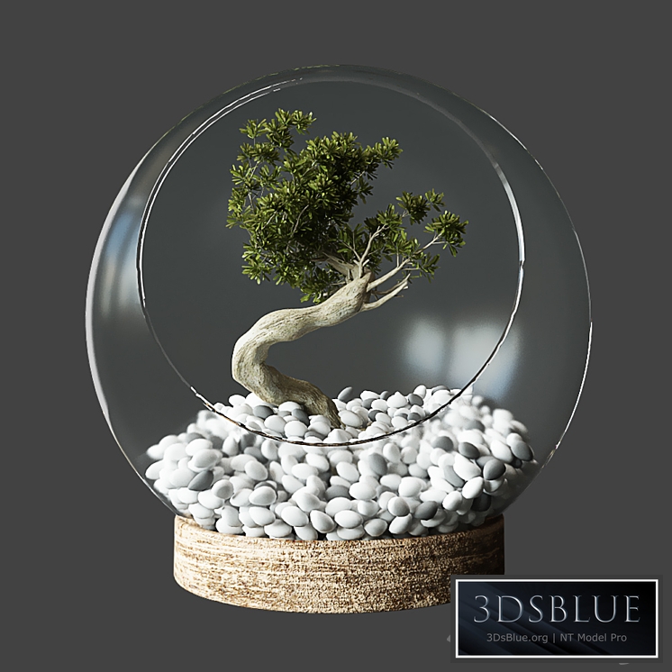 Little Tree In Glass Globe
