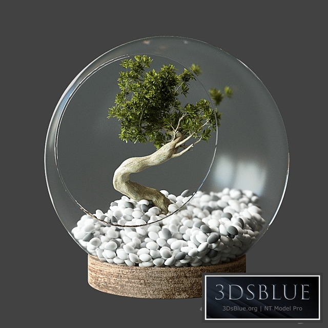 Little Tree In Glass Globe