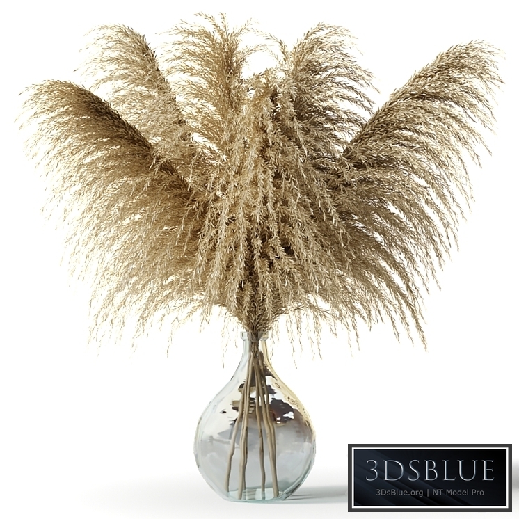 Pampas grass in a glass vase - Sofia Bouquet