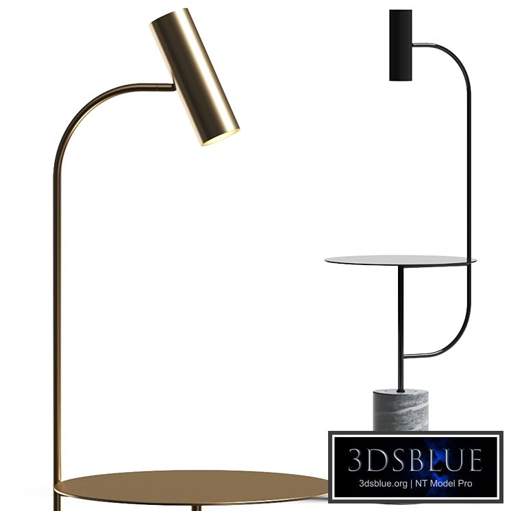 Roche Bobois Pasteur Floor Lamp