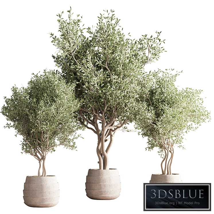 indoor plant stand 39