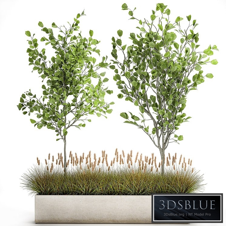 Plant collection 1066. Trees, reeds, flowerbed, reeds, grass, bushes, tree, landscaping, flowerbed, hazel, hazel, linden