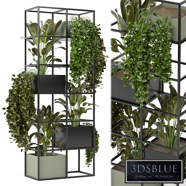 indoor plants in rusty concrete pot on metal shelf - Set 122