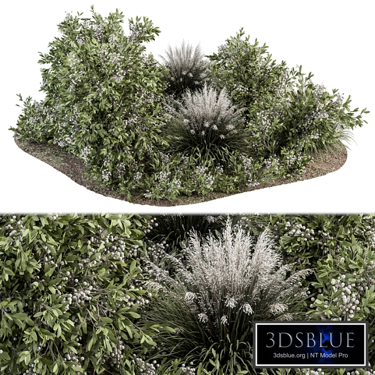 Green and White Bush - Outdoor Garden Set 325