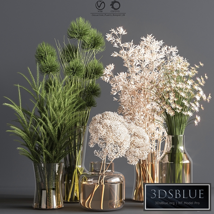 Click here for similar collections