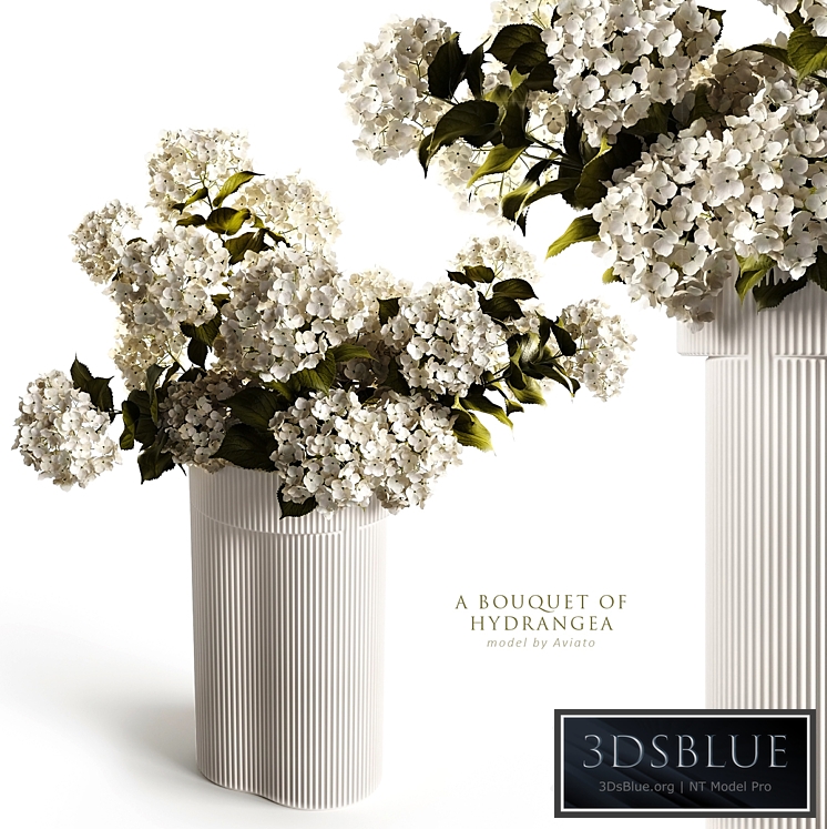 A bouquet of hydrangea 2