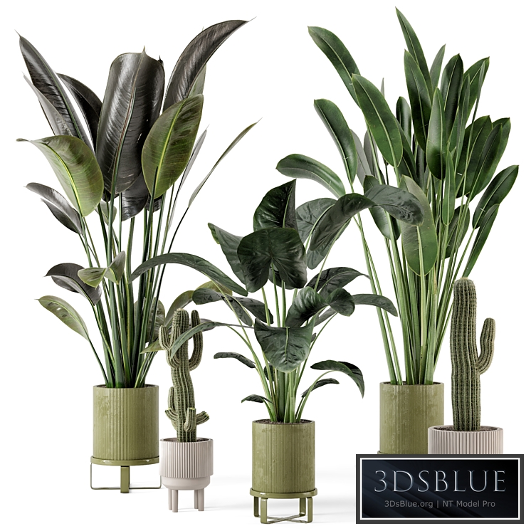 Indoor Plants in Standing Legs Small Bowl Concrete Pot - Set 325