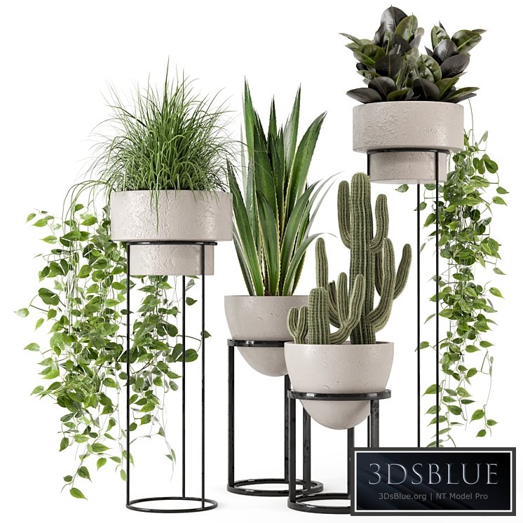 Indoor Plants in rusty Concrete Pot on Metal Shelf - Set 327