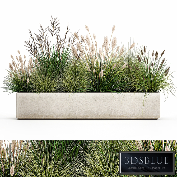 Plant collection 1076. pampas grass, reeds, flower bed, bushes, landscaping