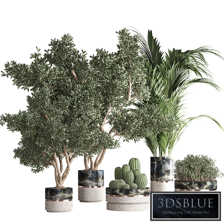 indoor plant set 31