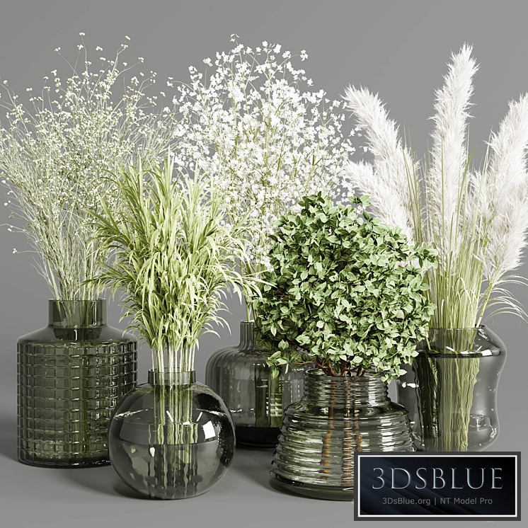 collection Plants Bouquet Indoor glass vase