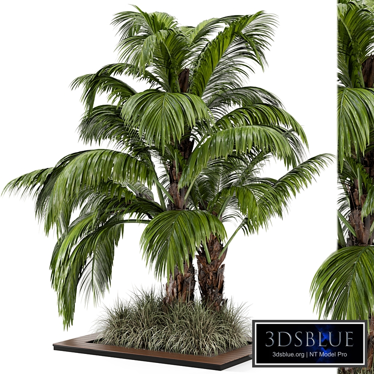 Outdoor Garden set bush and Tree - Garden Set 331