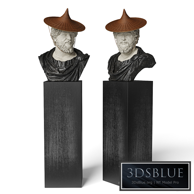 Septimius bust with hat