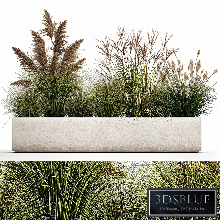 Plant collection 1078. pampas grass, reeds, flower bed, bushes, landscaping