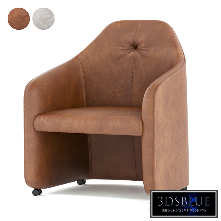 DS 279 armchair by de Sede