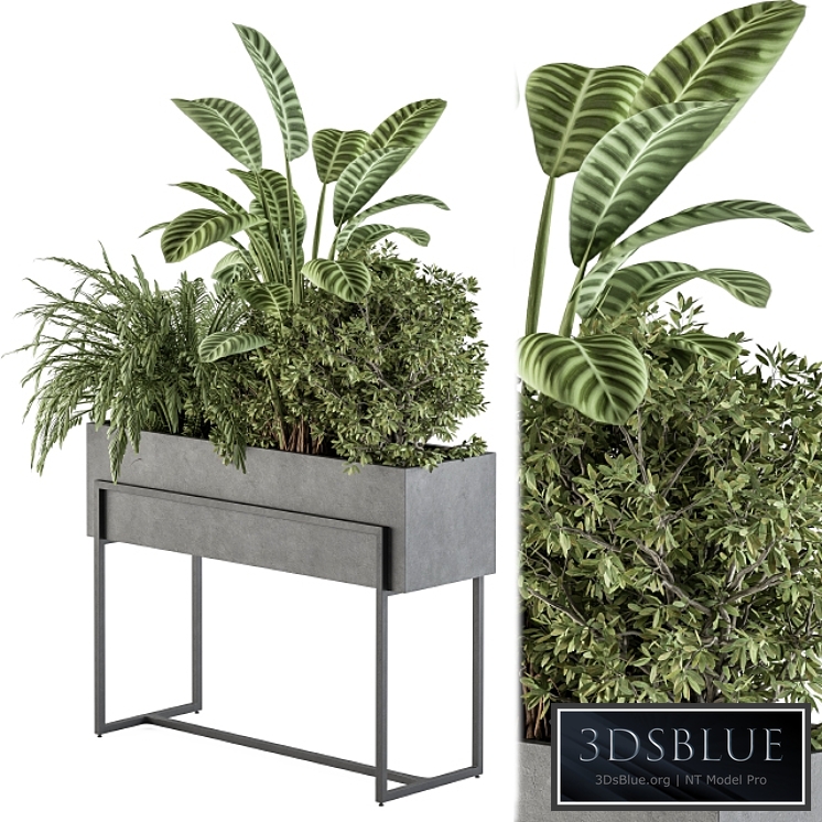 indoor Plant Set 321 - Plant Set in Black Box