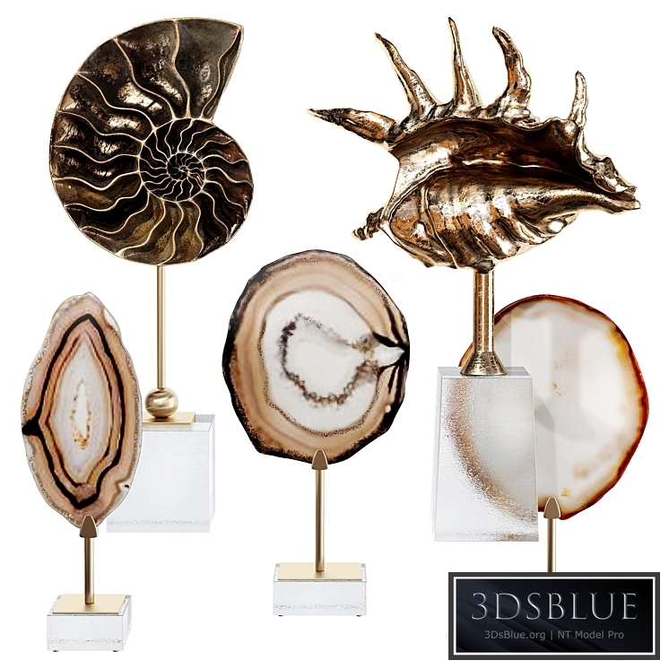Sea shell decorative set 02