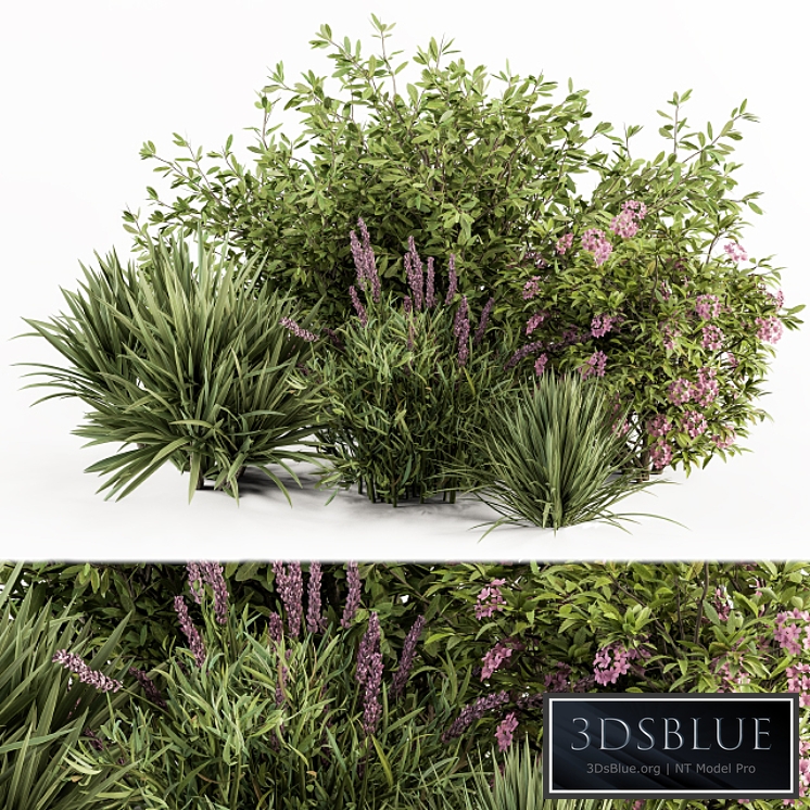 Mixed Plant Bush Green and Purple - Bush Set 50