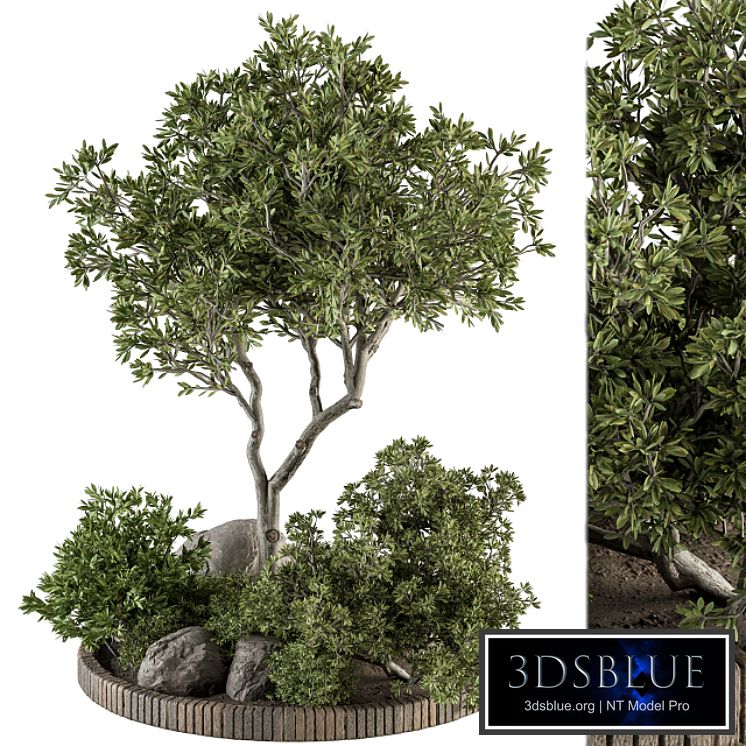 Garden Set Plants - Outdoor Plants Set 333