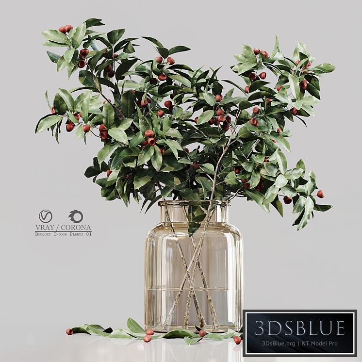 Bouquet Indoor Plants 01