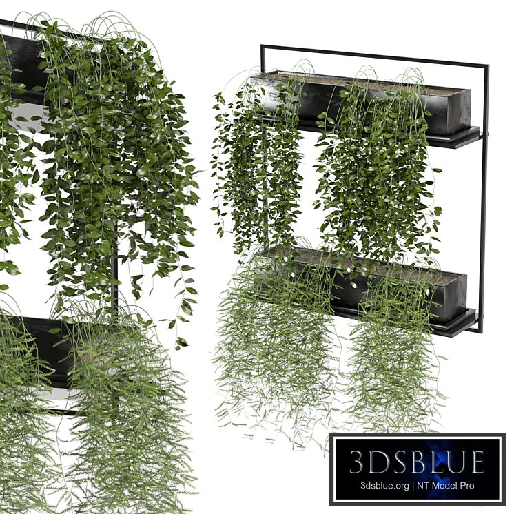 indoor hanging plants in metal box_set 142
