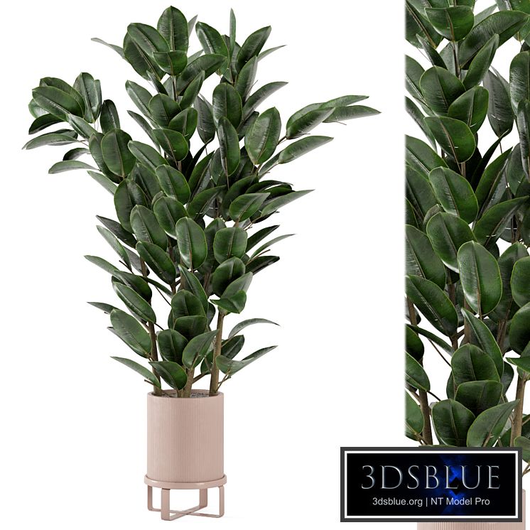 Indoor Plants in Ferm Living Bau Pot Large - Set 346