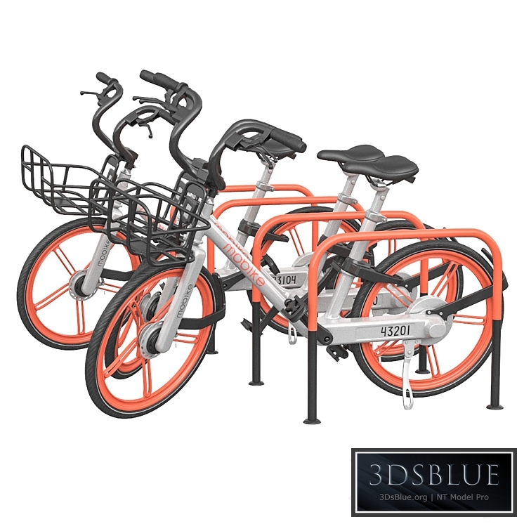 Bicycles in the parking area