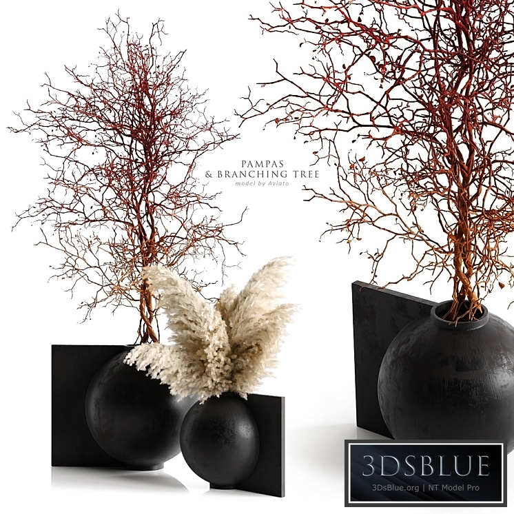 Pampas & branching tree