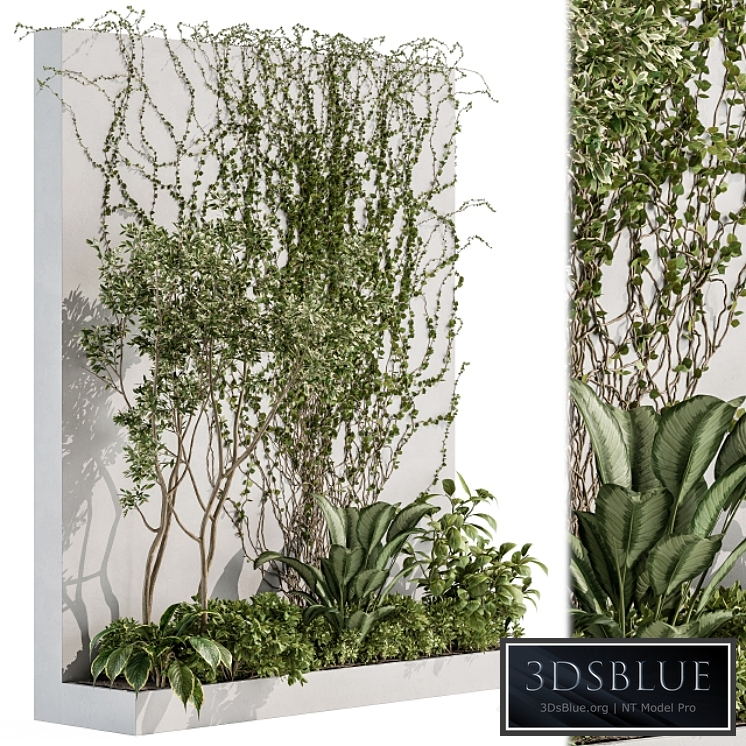 Vertical Garden Outdoor - Wall Decor 41